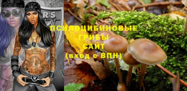 герыч Пестово
