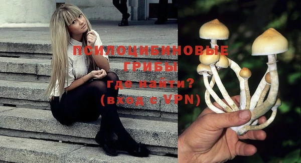 гашиш Пересвет