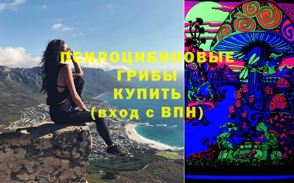 гашиш Пересвет